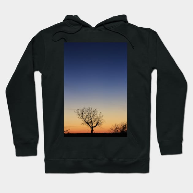 Kansas Sunset at Twilight with a Tree silhouette Hoodie by ROBERTDBROZEK